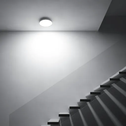  Lampada groppi
