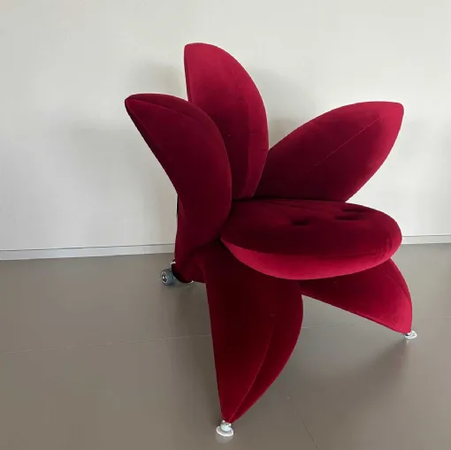  edra verona