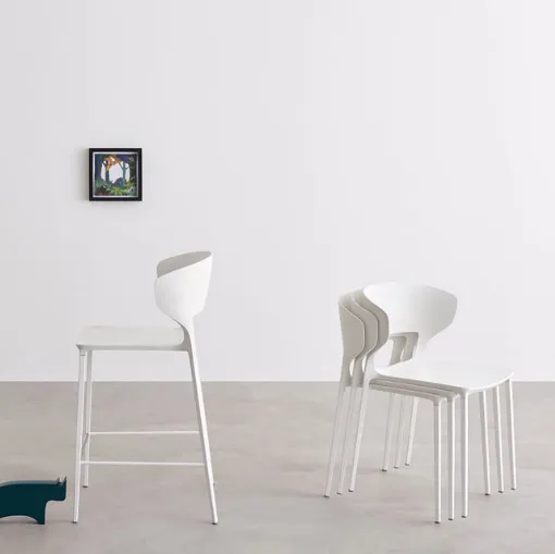 arredo sedie verona