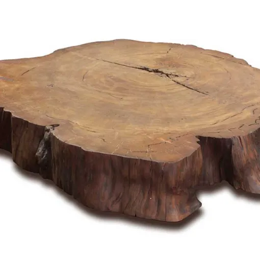 stump legno kauri riva 1920